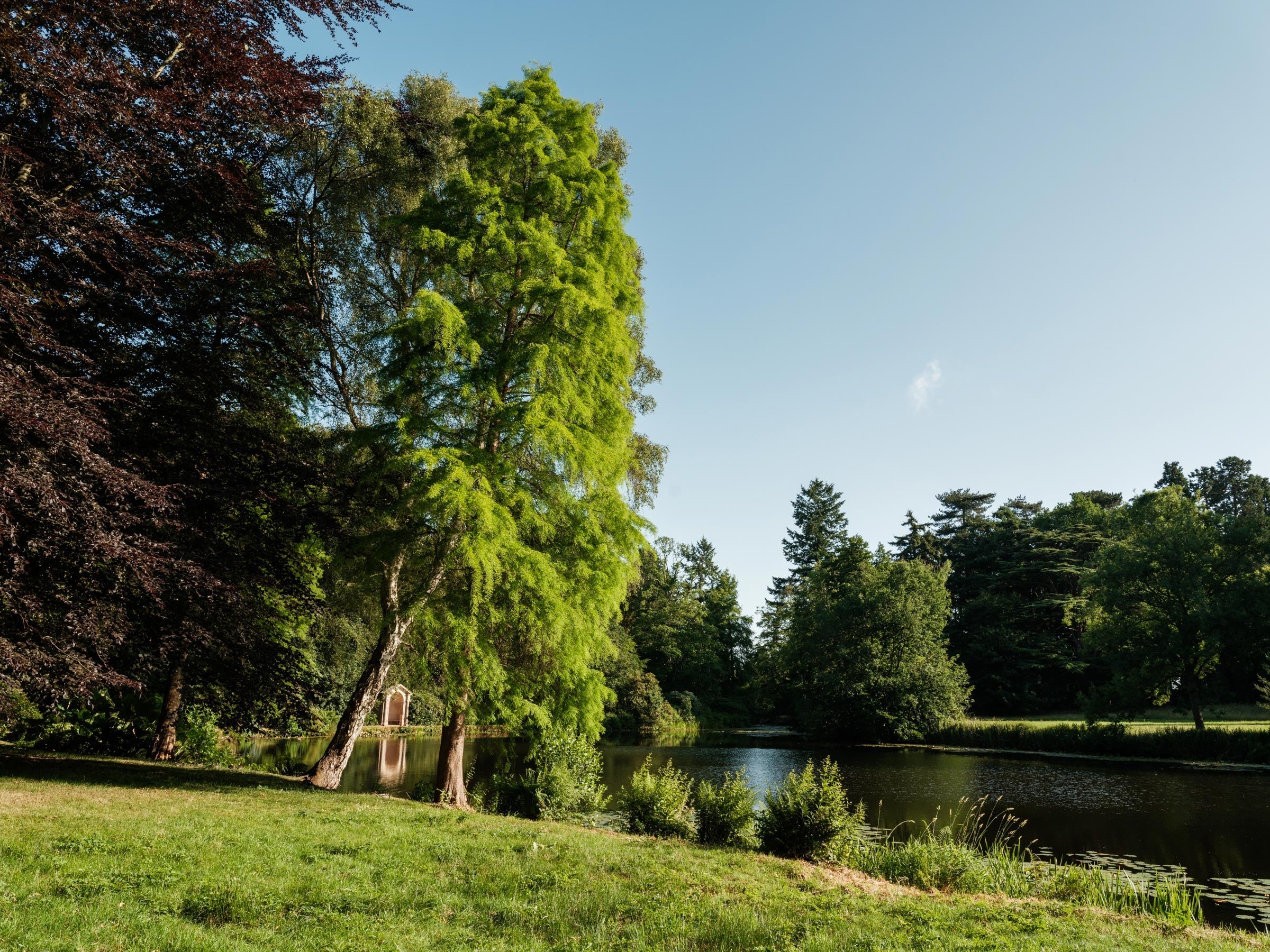Brandywine Festival at Weston Park